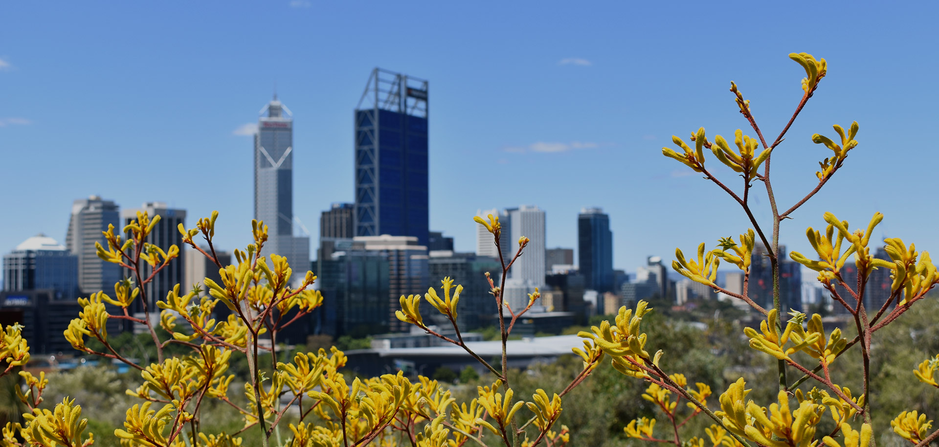 Donate to Curtin FM